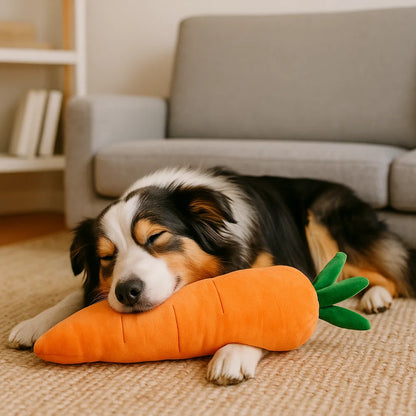 Quietschende Karotte Hundespielzeug zum Stressabbau und Spielen