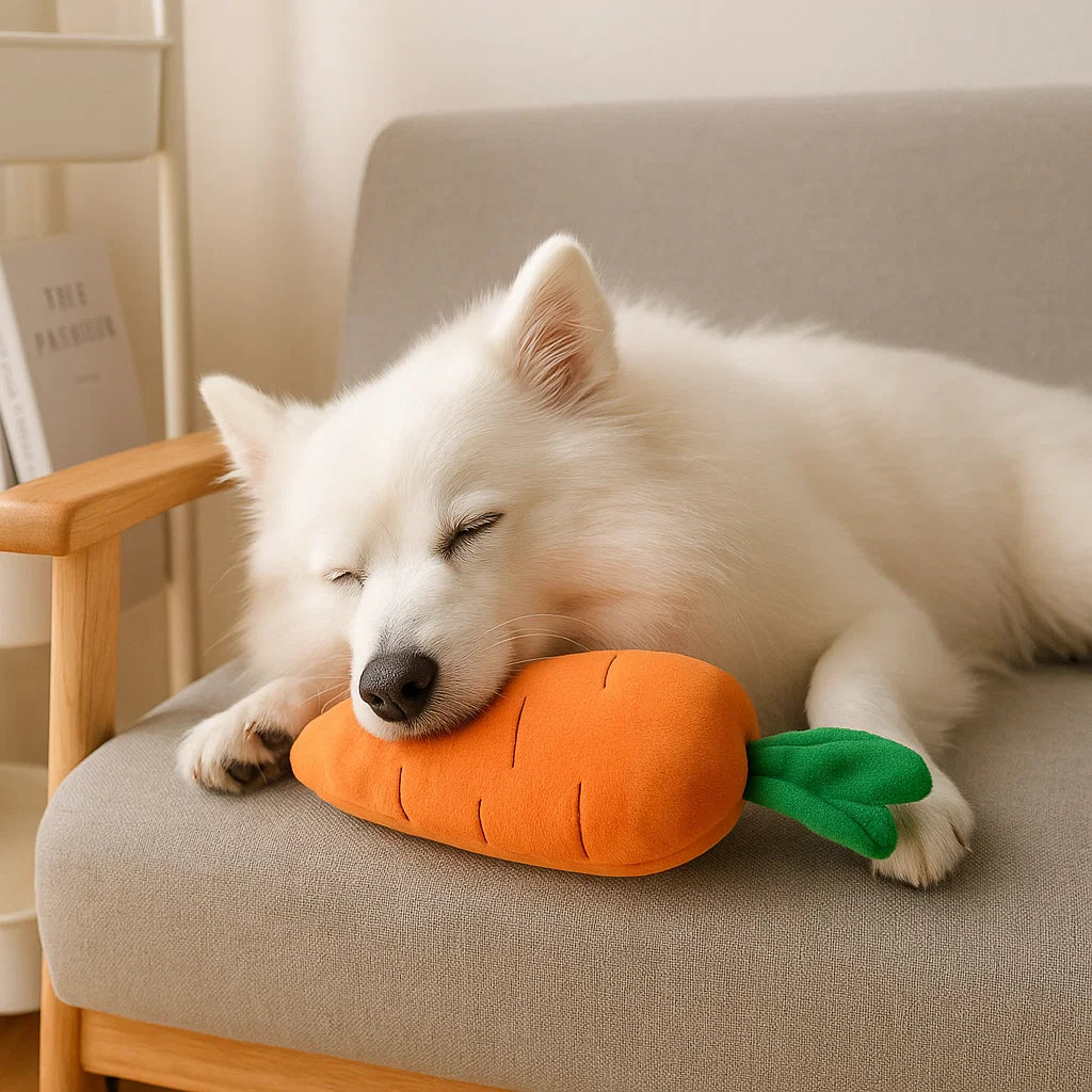 Quietschende Karotte Hundespielzeug zum Stressabbau und Spielen