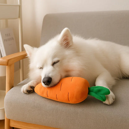 Quietschende Karotte Hundespielzeug zum Stressabbau und Spielen