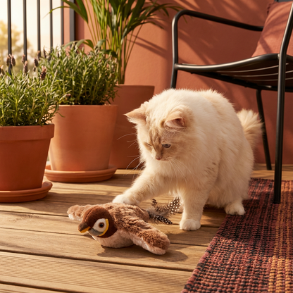 Flatternder Vogel Katzenspielzeug