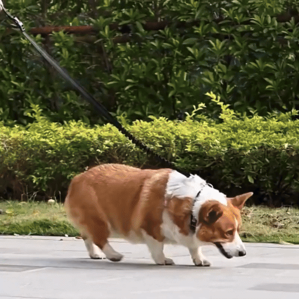 Your GIF Description