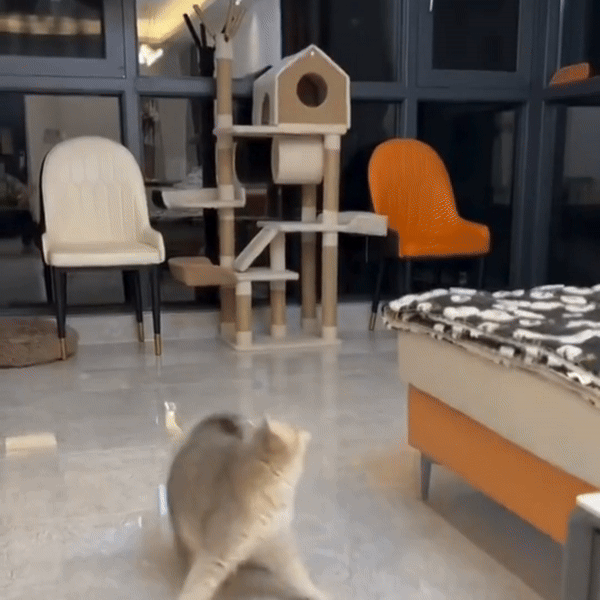 Your GIF Description