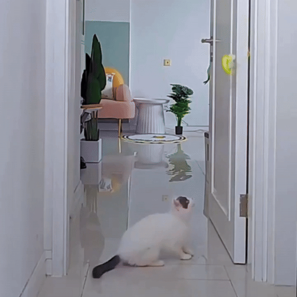 Your GIF Description