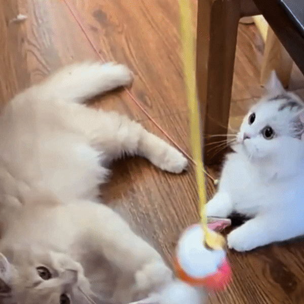 Your GIF Description