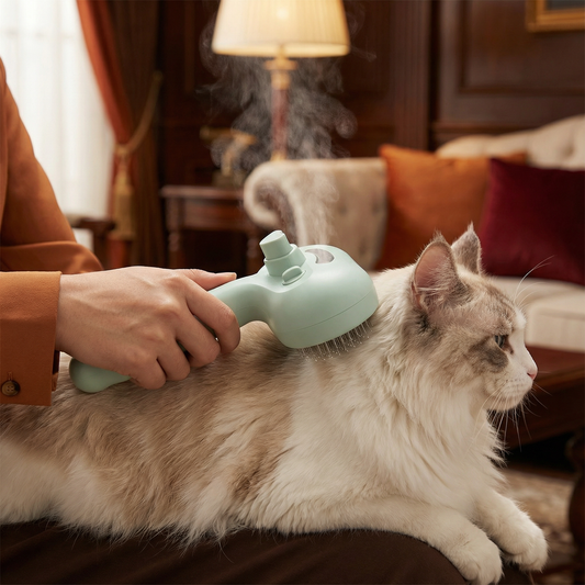 Premium Haustier Bürste Mit Dampffunktion