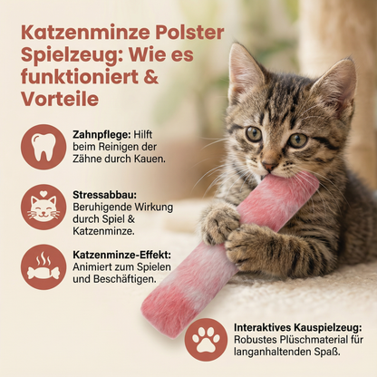 Katzenminze Polster Spielzeug