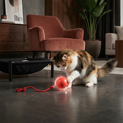 Interaktiver Spielball mit Schwanz für Katzen