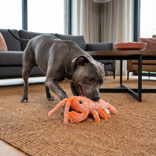 Wackel-Hummer - Interaktives Hundespielzeug