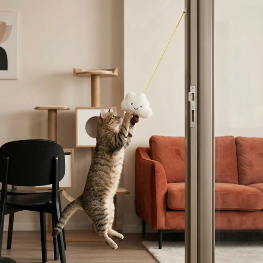 Hängendes Katzenspielzeug