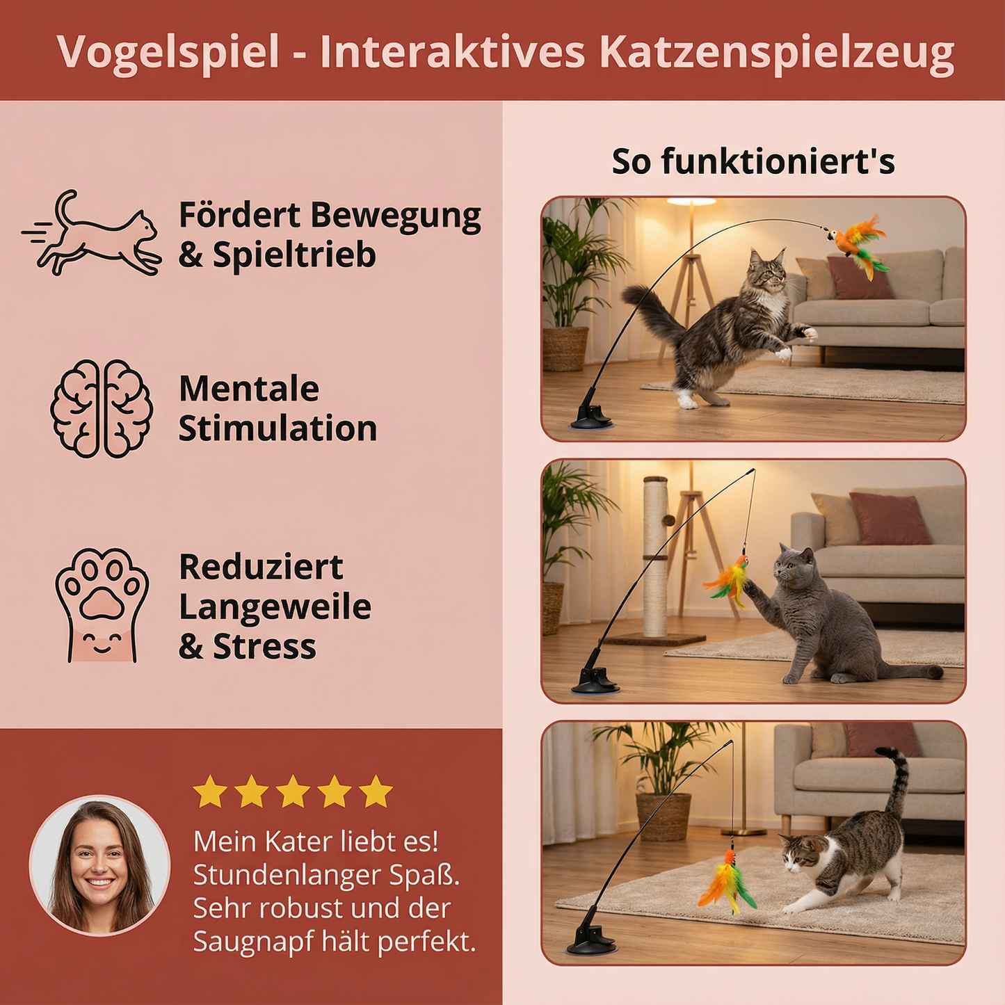 Vogelspiel - Interaktives Katzenspielzeug