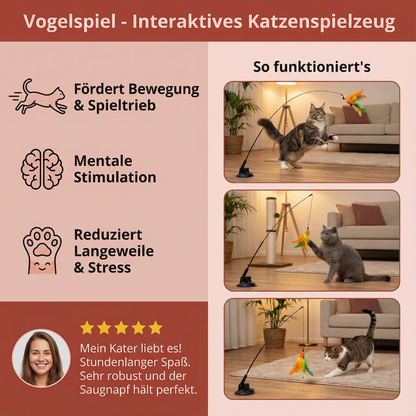 Vogelspiel - Interaktives Katzenspielzeug