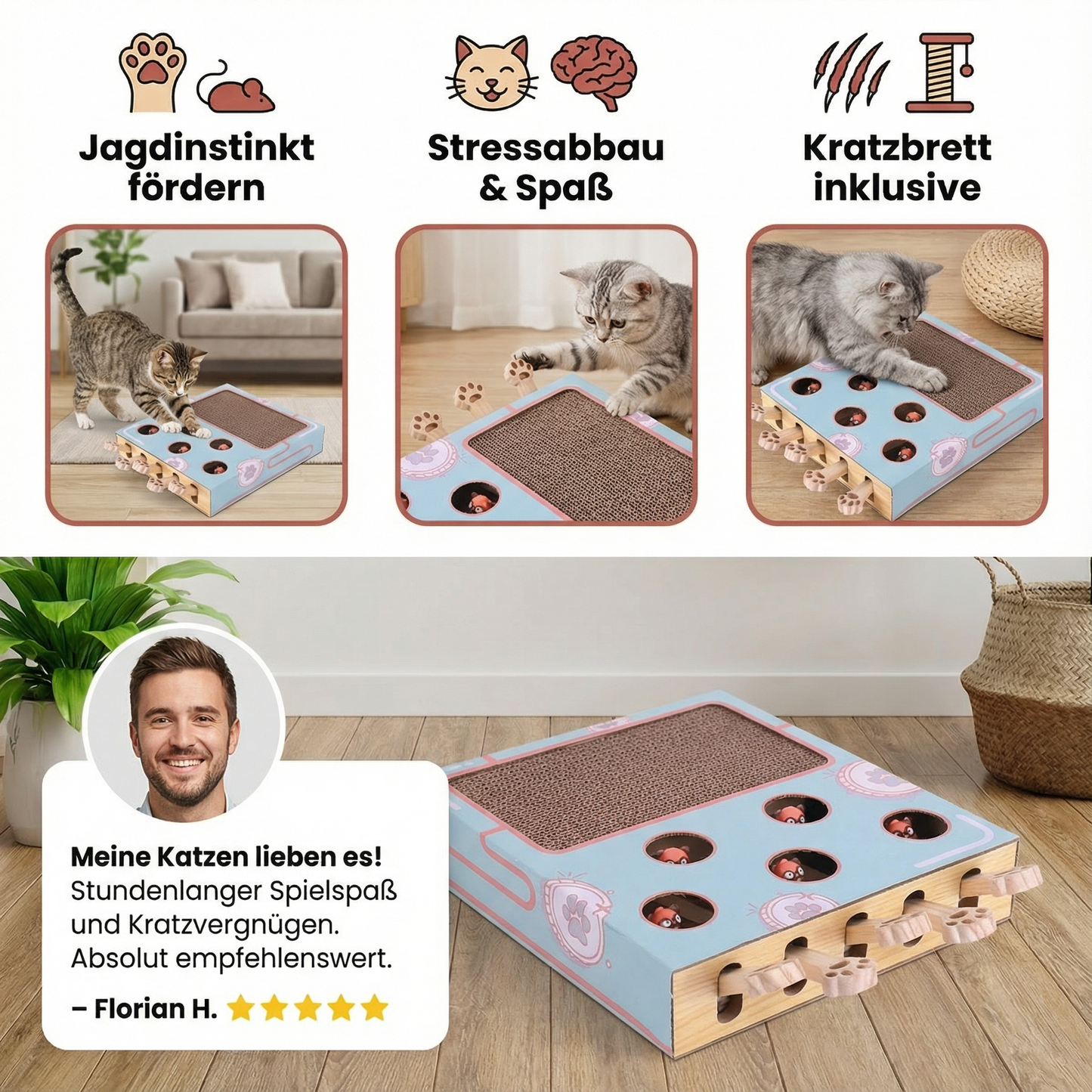 3in1 Spielbox für Katzen
