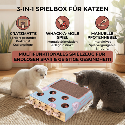 3in1 Spielbox für Katzen