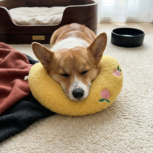 Ergonomisches Hunde Stützkissen für Gesunde Haltung