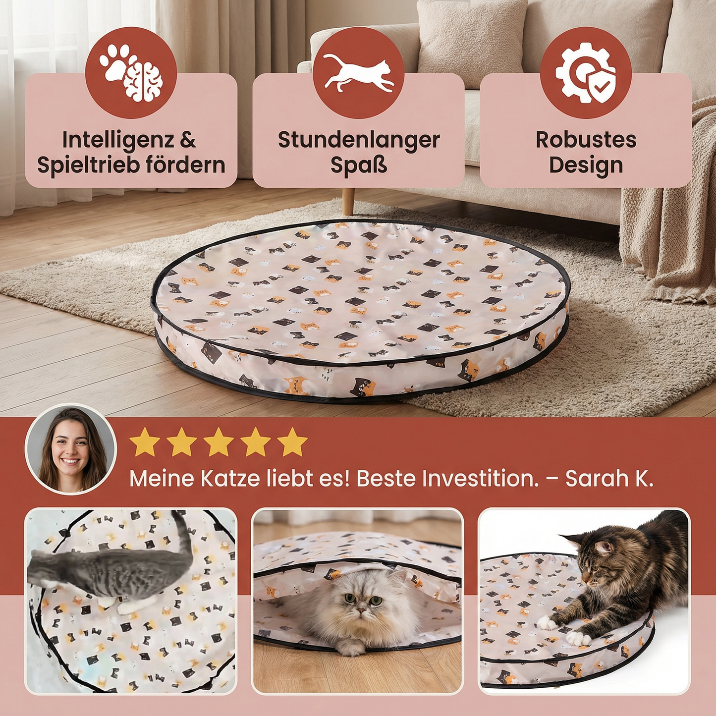 Interaktives Katzen Ball Versteck Spiel