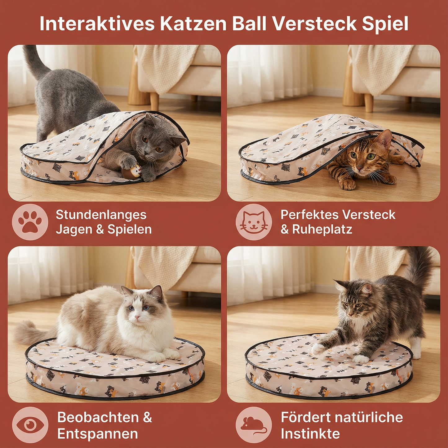 Interaktives Katzen Ball Versteck Spiel