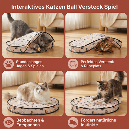 Interaktives Katzen Ball Versteck Spiel